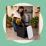 Porta Ração Pote Antiformiga Pet Gato Cachorro Pá Dosadora 20KG