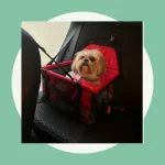 Cadeirinha Assento Pet de Carro para Cachorros e gatos.