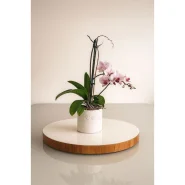 PRATO GIRATÓRIO CENTRO DE MEDA 60CM REDONDO MESA SALA DE JANTAR VIDRO LAQUEADO BORDA MADEIRA CINAMOMO