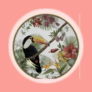 Conjunto com 6 Pratos Rasos Tropicos