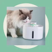 Newpet Fonte de água automática para gatos Cabo USB