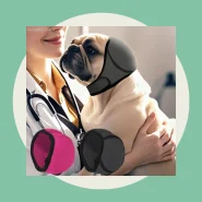 Protetores de ouvido calmantes para cães