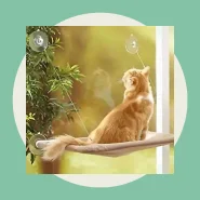 Caminha Suspensa de Janela para Gato