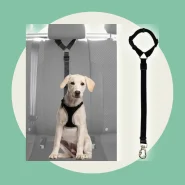 Cinto De Segurança Pet Veicular com Encosto De Cabeça para Cães