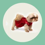 Vestido Pet Veludo Luxo Realeza Vermelho e Salmão