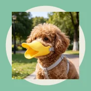 Focinheira Bico de Pato para Cães
