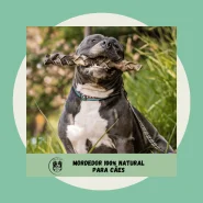 Trança de Couro Bovino para Cachorro Natuka Mordedor Natural Pet