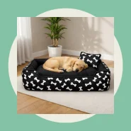 Caminha Cama Pet com Fundo impermeável com Zíper para Cão Gato