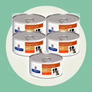 Kit Latas 5 Rações Úmidas Hills Cães E Gatos 156g Cada