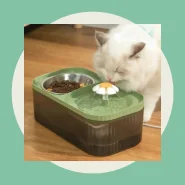Fonte Bebedouro e Comedouro Para Gatos E Cães Automático Little 3