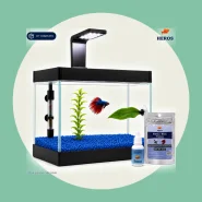 Aquário Completo Beteira  Aquário + Luminária + Decorações.