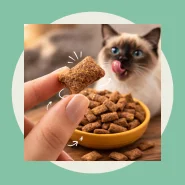 Até 1kg Petisco Para Gatos Sabor Frango Crocante