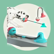 Bola de Brinquedo Interativa Molar Slow Food com Vazamento