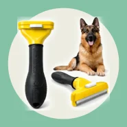 Escova Rasqueadeira Pet Autolimpante Cão