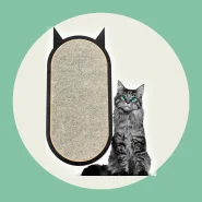 Arranhador Para Gatos Sem Necessidade de Furos