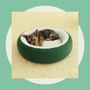 Caminha Redonda Pets Sherpa para Cães e Gatos Macia 50x50cm