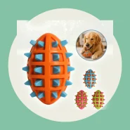 Brinquedo Mordedor para Cachorro Pet Bola Oval com Cravo Spike