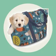 Bolsa de Transporte para Pet Caes e Gatos Passeio