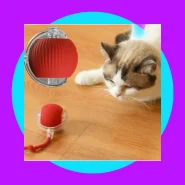 Bola Brinquedo De Rolamento Automático Cauda Falsa Recarregável