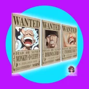Kit 3 Placa Decorativa One Piece