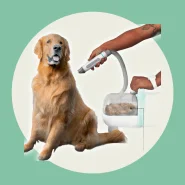 Kit 7 em 1 para Pets: Tosador, Aspirador e Cuidados Práticos