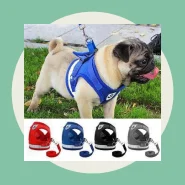 Peitoral e Guia para Cachorro Coleira Caes E Gatos Colete Regulavel Confortavel para Pet Pequeno