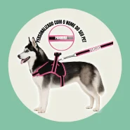 Coleira e Guia para cachorro nome personalizado Peitoral pequeno médio grande porte super resistente