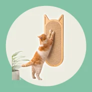 Arranhador para Entreter e Cuidar das Unhas do Gato