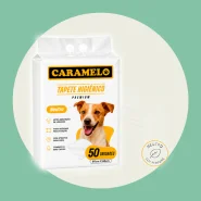 Tapete Higiênico Premium Caramelo - Ultra Absorção Combate Mau Cheiro Não vaza - Adesivos para Fixar