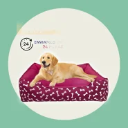 Cama Caminha Pet Cachorro Gato tamanho p,m,g confortável com zíper lavável + almofadinha