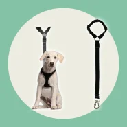 Cinto de Segurança para Viajar com Seu Pet