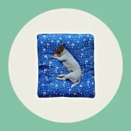 Cama Colchonete Almofada para Cachorro Ou Gato Pet Pequeno Médio