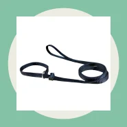 Guia Coleira Unificada para Adestramento de Cães Reforçada Resistente Educativa 4 Tamanhos Promoção