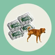 Kit Jornal Pet Higiênico 50 100 150 200 Folhas Grande