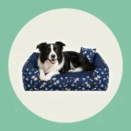 Caminha Pet - Casinha de Cachorro Cama Pet Luxo Colchão Pet Cão Gato P M G