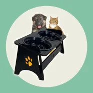 Comedouro Bebedouro Pet Elevado Para Gato e Cachorro Com TAMPAS