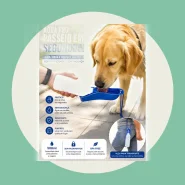 Garrafa Bebedouro Portatil Cachorro Gato Pet Bandeja 500ml Passeio Compacto