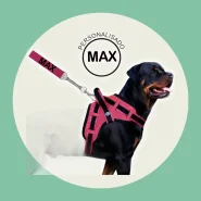 coleira e Guia para cachorro nome personalizado coleira peitoral conforto peiteira sistema amortecedor impacto regulagem