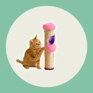 Arranhador para Entreter e Cuidar das Unhas do Gato