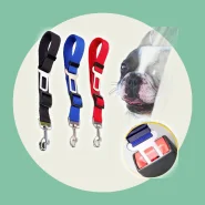 Cinto de Segurança para Viajar com Seu Pet