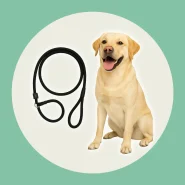 Guia Unificada 2m para Adestramento Corda Resistente Anti Puxão para Cães Pequenos, médios e Grandes