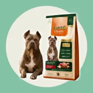 Ração para Cachorro 15kg Special Dog Ultralife Gold Performance