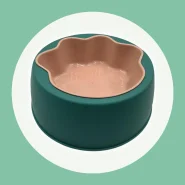 Comedouro e Bebedouro para Cães e Gatos