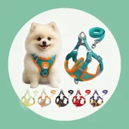 Coleira Peitoral Cachorro E Gato, Conjunto De Guia + Coleira Colete Para Pet Pequenos E Médios