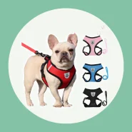 coleira para cachorro/coleira para gato/coleira/Guia Peitoral de Passeio para Cães/coleira para cachorro pequeno