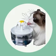 Fonte de Água Automática com Filtro para Cães e Gatos