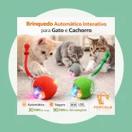Bola Interativa Automática Pet Cães Gatos Recarregável USB Brinquedo Elétrico Inteligente