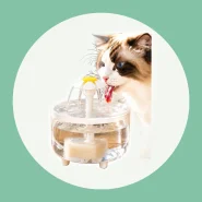 Fonte de Água com Filtro para Gatos