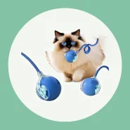 Brinquedo Inteligente Para Cães E Gatos De Estimação , Bola Rolante Automática , Elétrica Recarregável superloja