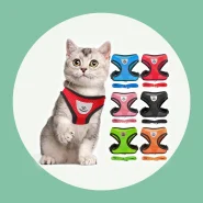 Coleira Peitoral Com Guia para Cães E Gatos Colete Respirável Regulável Super Confortável  bosco